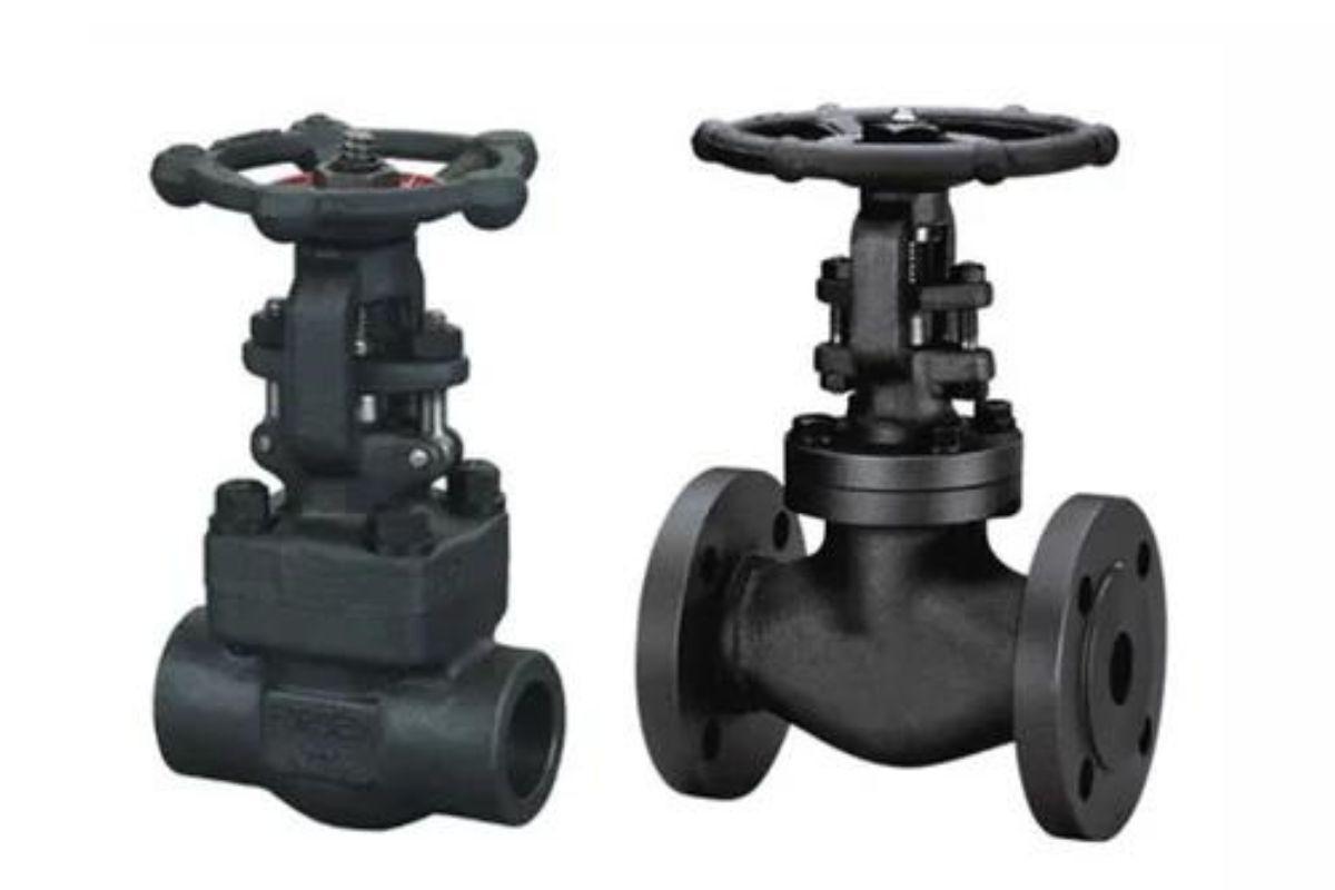 forged-gate-globe-check-valve