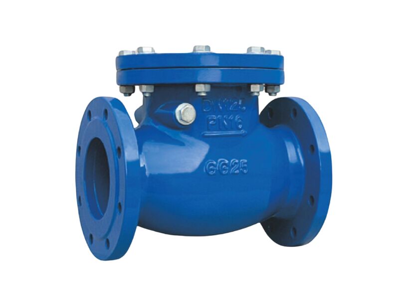 check-valve