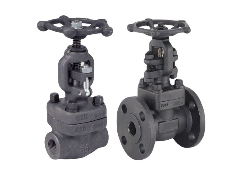 Benefits of Forged Gate, Globe, and Check Valves